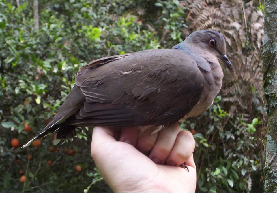FIGURE 3 FIGURE 3